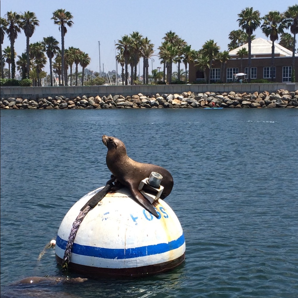 Meet your Posher, Adam